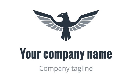 America logo