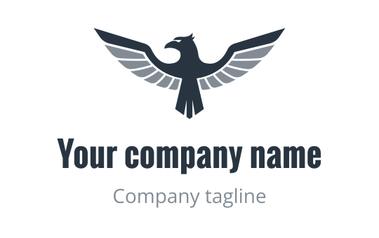 America logo